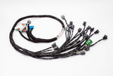 D & B-Series OBD1 Tucked Engine Harness Kit w/ Subharness | 88 - 91 EF CRX