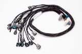 D & B-Series OBD2 Engine Tucked Engine Harness Kit w/ Subharness | 92-95 Civic EG EJ