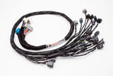 D & B-Series OBD2 Tucked Engine Harness Kit w/ Subharness | 99-01 Civic EK
