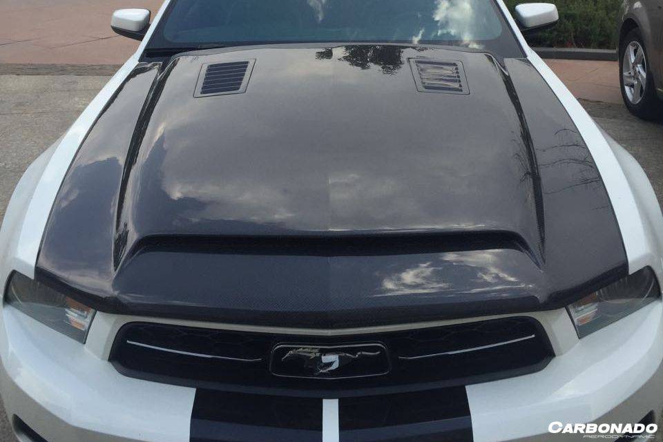 2005-2009 Ford Mustang GT V6 Black Momba BC1 Style Hood