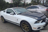 2005-2009 Ford Mustang GT V6 Black Momba BC1 Style Hood