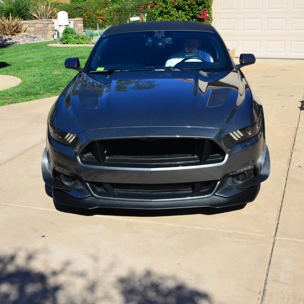 Mustang 15-17 GT4 Dive Planes