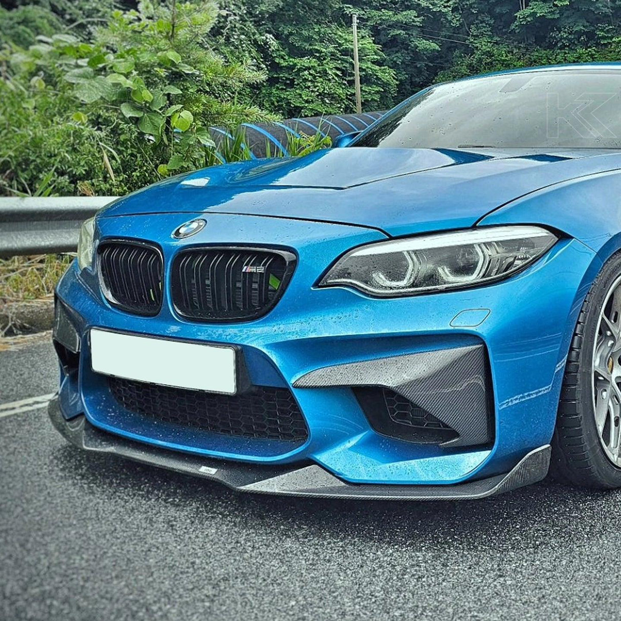 BMW 2 Series M2 F87 Carbon Fiber Front Flaps (2014 - 2021)