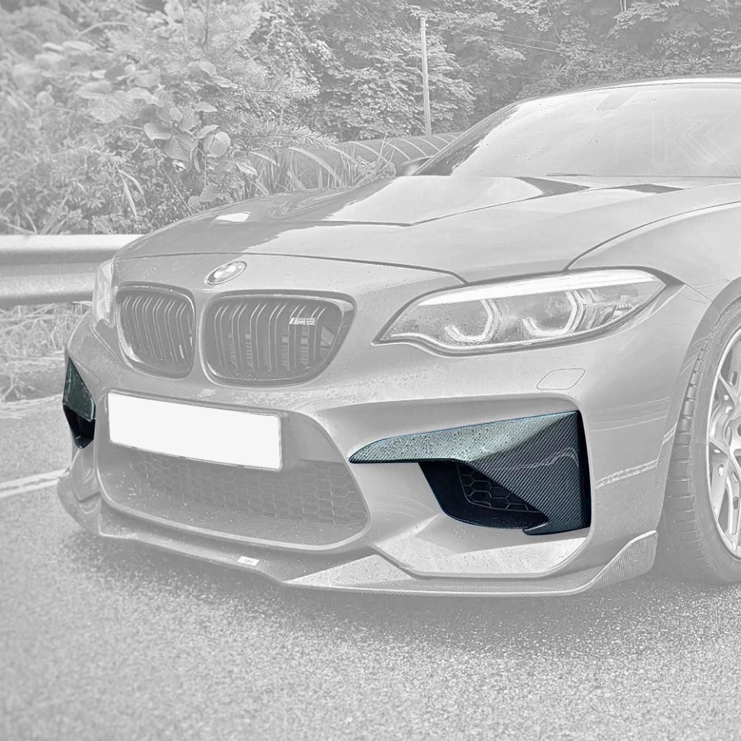BMW 2 Series M2 F87 Carbon Fiber Front Flaps (2014 - 2021) – K2