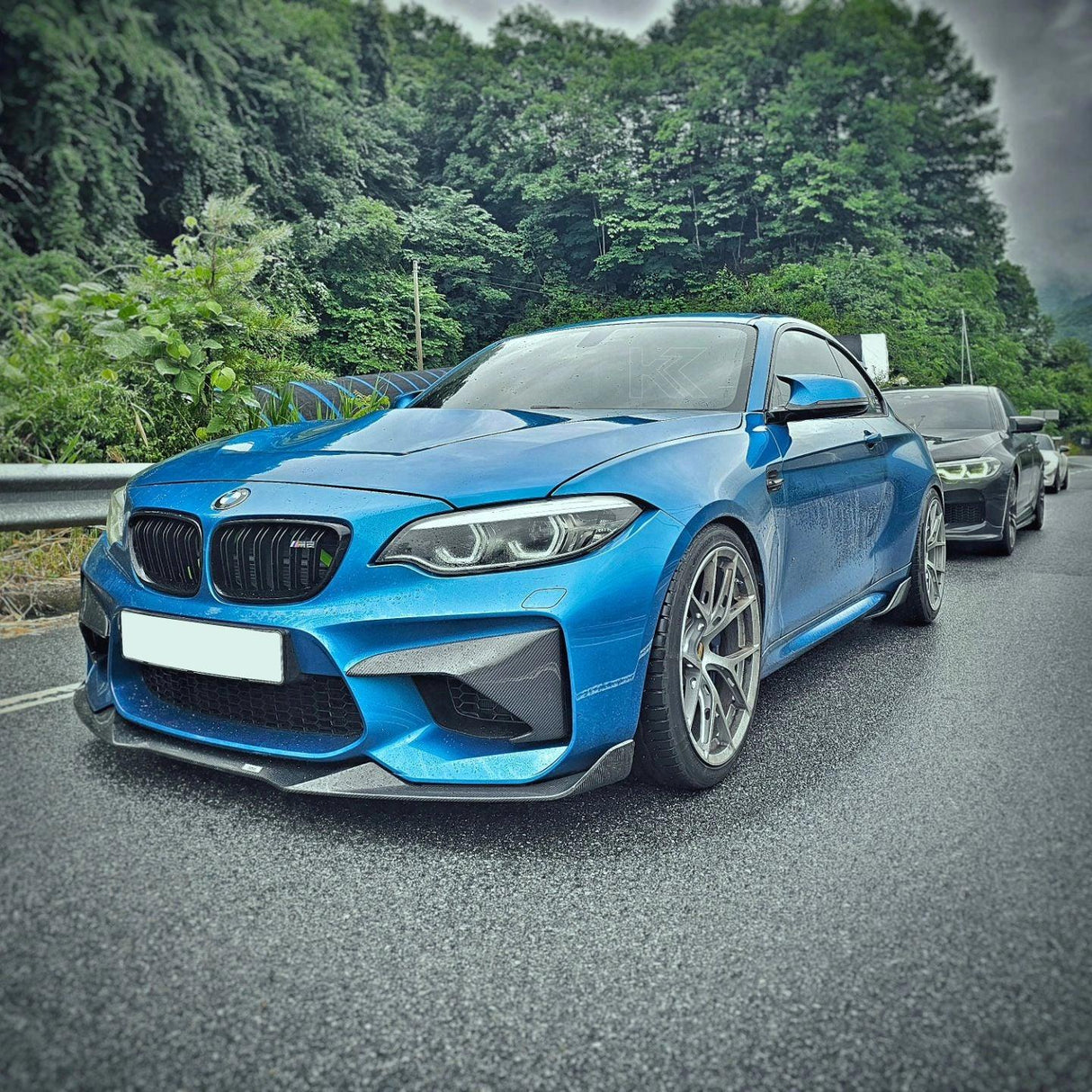 BMW 2 Series M2 F87 Carbon Fiber Front Flaps (2014 - 2021)