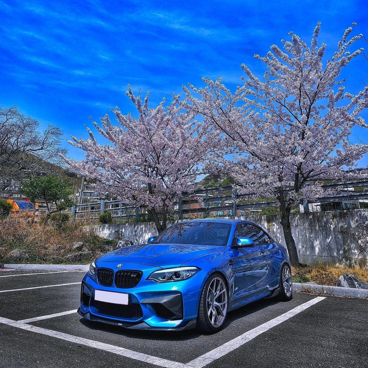 BMW 2 Series M2 F87 Carbon Fiber Front Flaps (2014 - 2021)