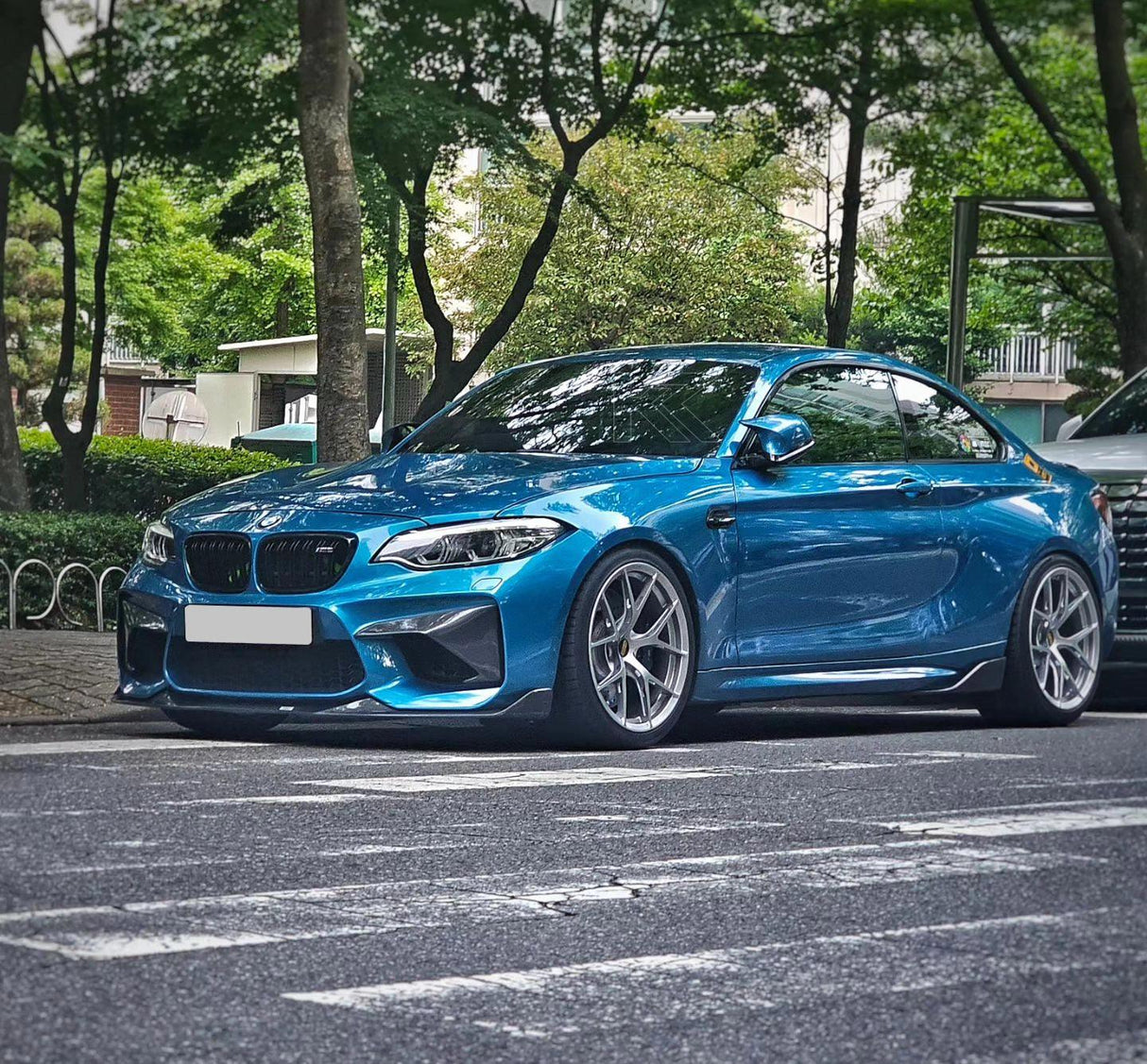 BMW 2 Series M2 F87 Carbon Fiber Front Flaps (2014 - 2021)
