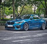 BMW 2 Series M2 F87 Carbon Fiber Front Flaps (2014 - 2021)