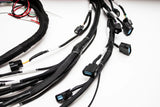 K20 K24 05-06 RSX K-Series Tucked Swap Engine Harness RHD, RWD and LHD | Acura | Honda |