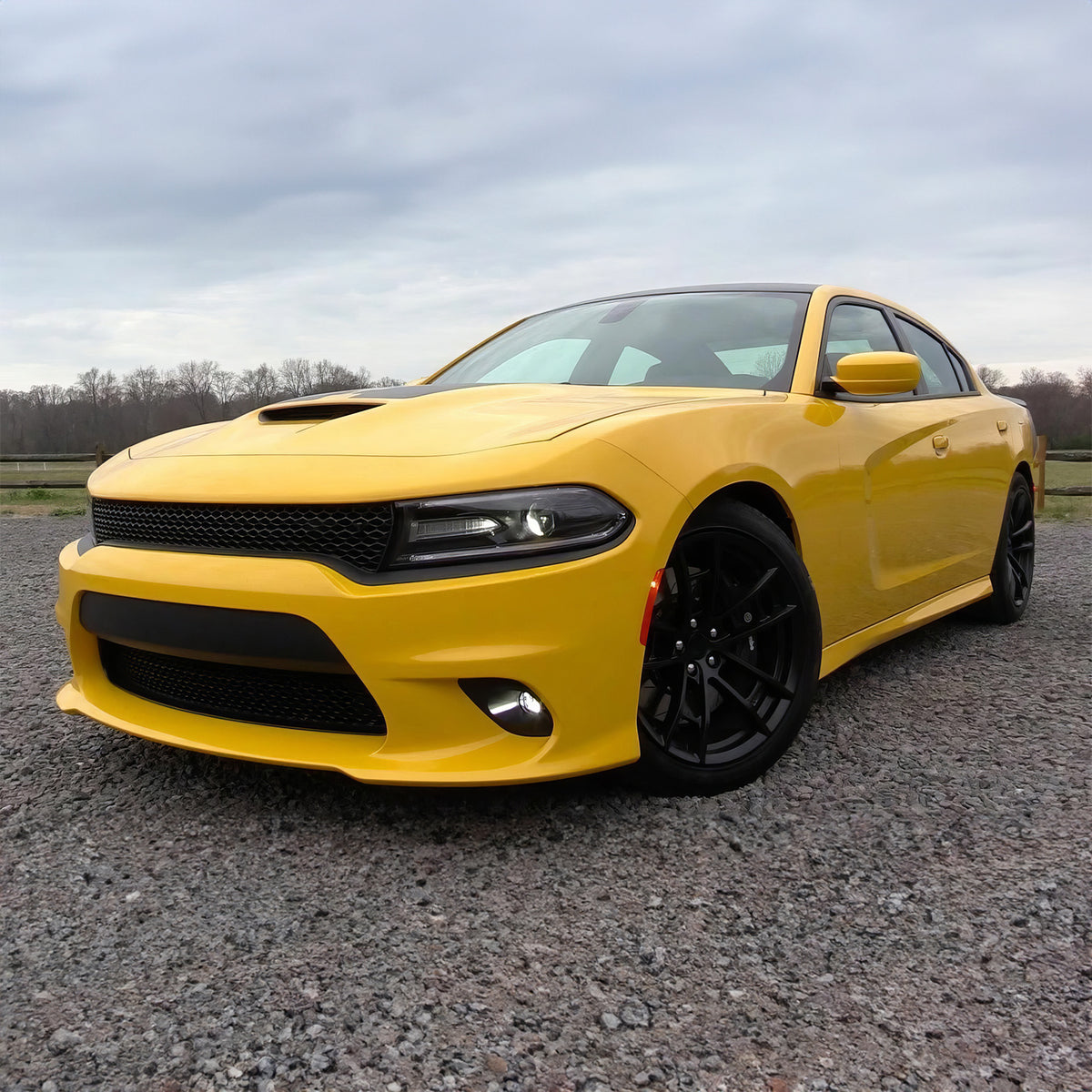 2015-2023 Dodge Charger Halogen Fog Lights White Lens Bumper Lamps Kit