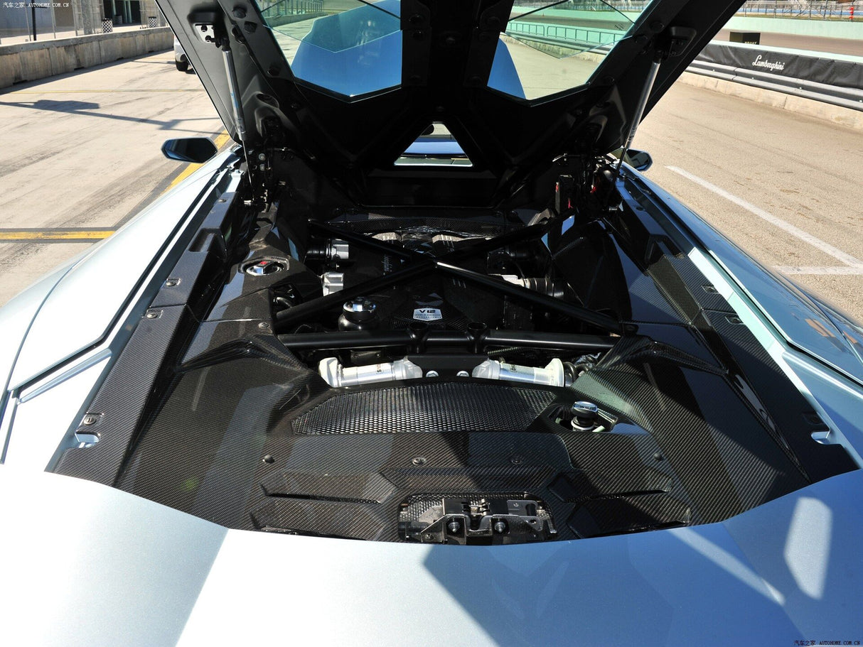 2011-2016 Lamborghini Aventador LP700 Coupe Carbon Fiber Engine Bay Trim Cover Rear Replacement