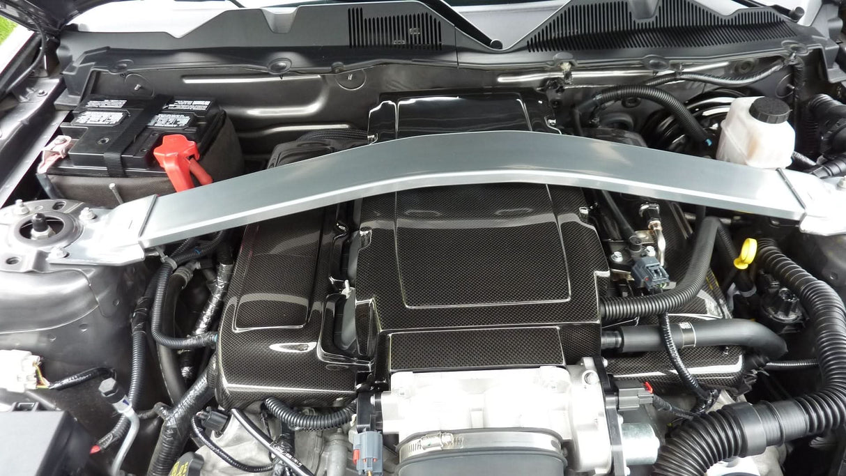Carbon Fiber Ford Mustang GT Plenum Cover 2005-2009