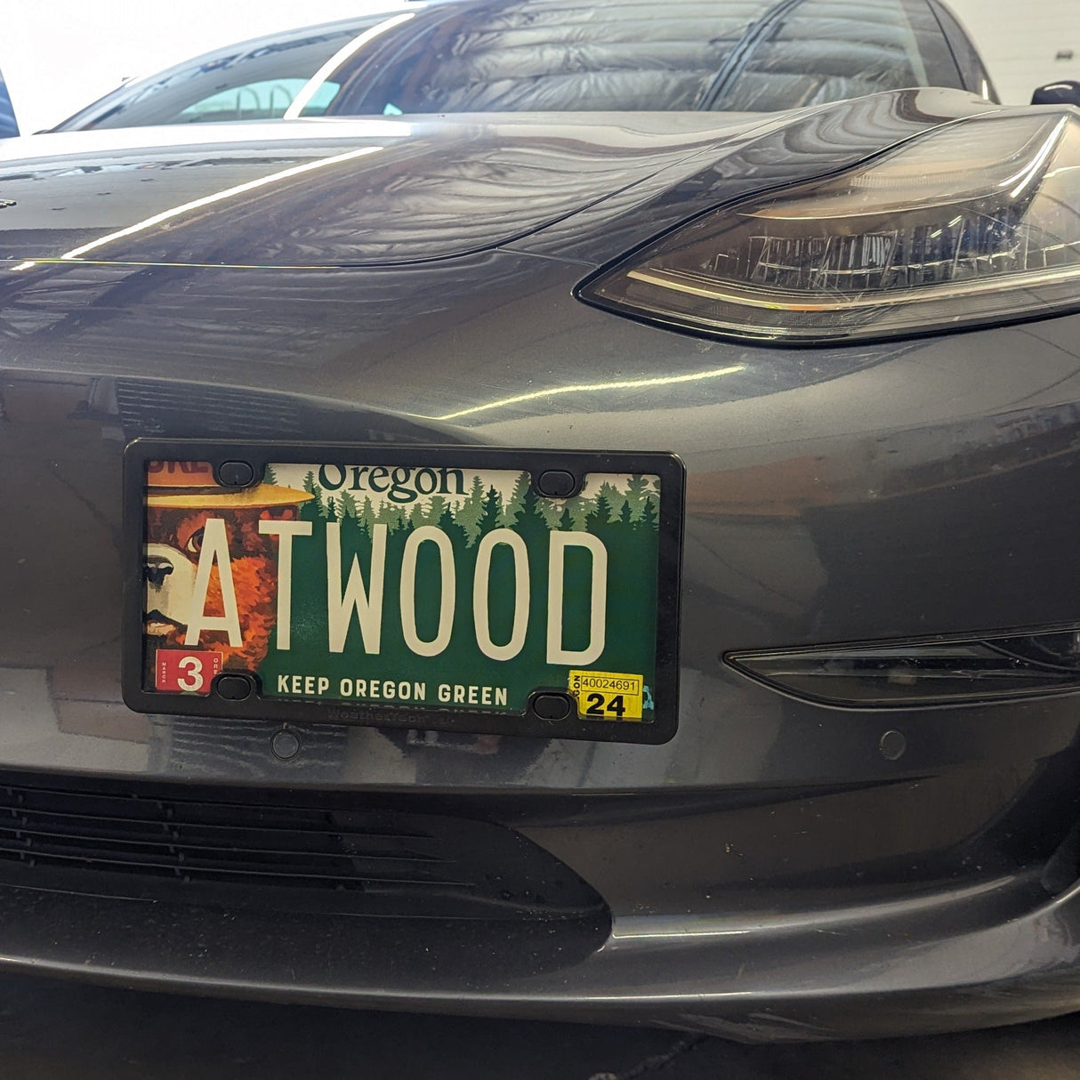 Tesla 17-24 Model 3 License Plate Holder