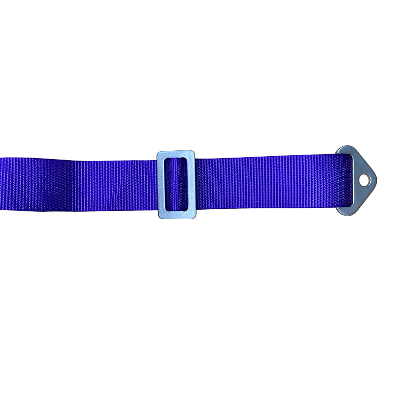 Universal 4 Point Cam-Lock Purple Racing Harness Seat Belt Nylon