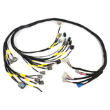 D & B-Series OBD2 Engine Tucked Engine Harness Kit w/ Subharness | 88 - 91 EF CRX