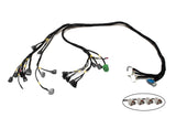 D & B-Series OBD1 Tucked Engine Harness Kit w/ Subharness | 92-95 Civic EG EJ