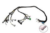 D & B-Series OBD1 Tucked Engine Harness Kit w/ Subharness | 99-01 Civic EK