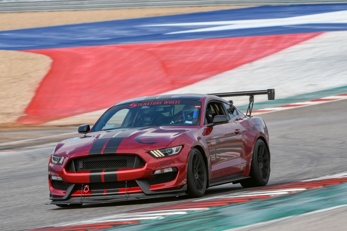 Ford Mustang Shelby GT350 GT500 S550 GT250 Carbon Fiber Adjustable Wing 2015-2017