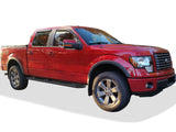 Carbon Steel Both Sides Running Board-A Series 2009-2014 Ford F-150 SuperCrew Cab WB06AAG7M