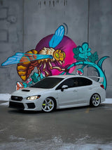 Avid.1 AV06 Wheel Spoke Stickers (5 Pack) - Universal