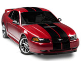 SEC10 GT500 Style Stripes; Gloss Black; 10-Inch (94-04 Mustang)