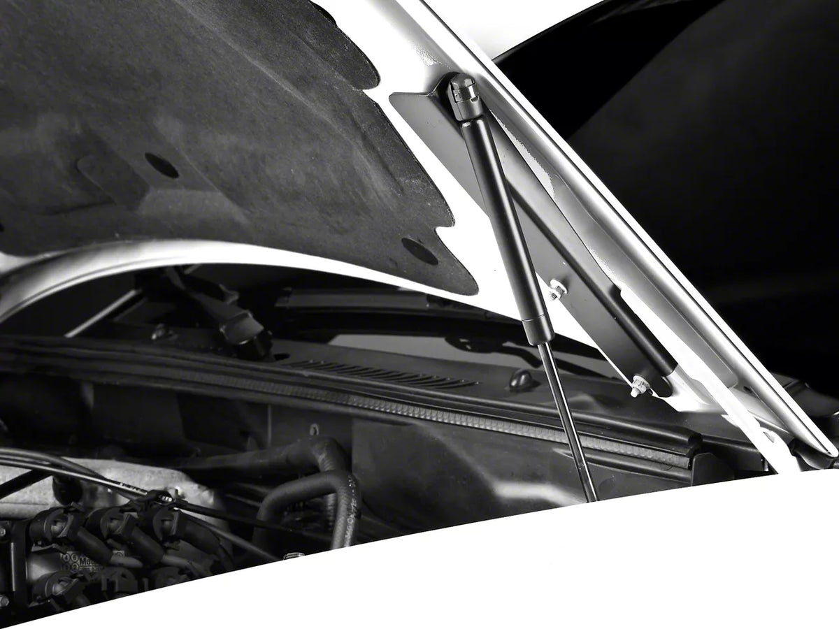 Mmd Bolt On Hood Strut Kit; Black (94-98 Mustang)