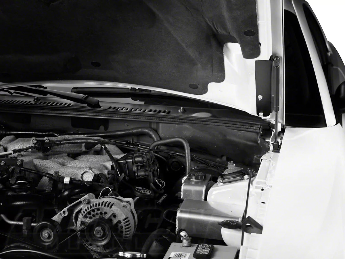 Mmd Bolt On Hood Strut Kit; Black (94-98 Mustang)