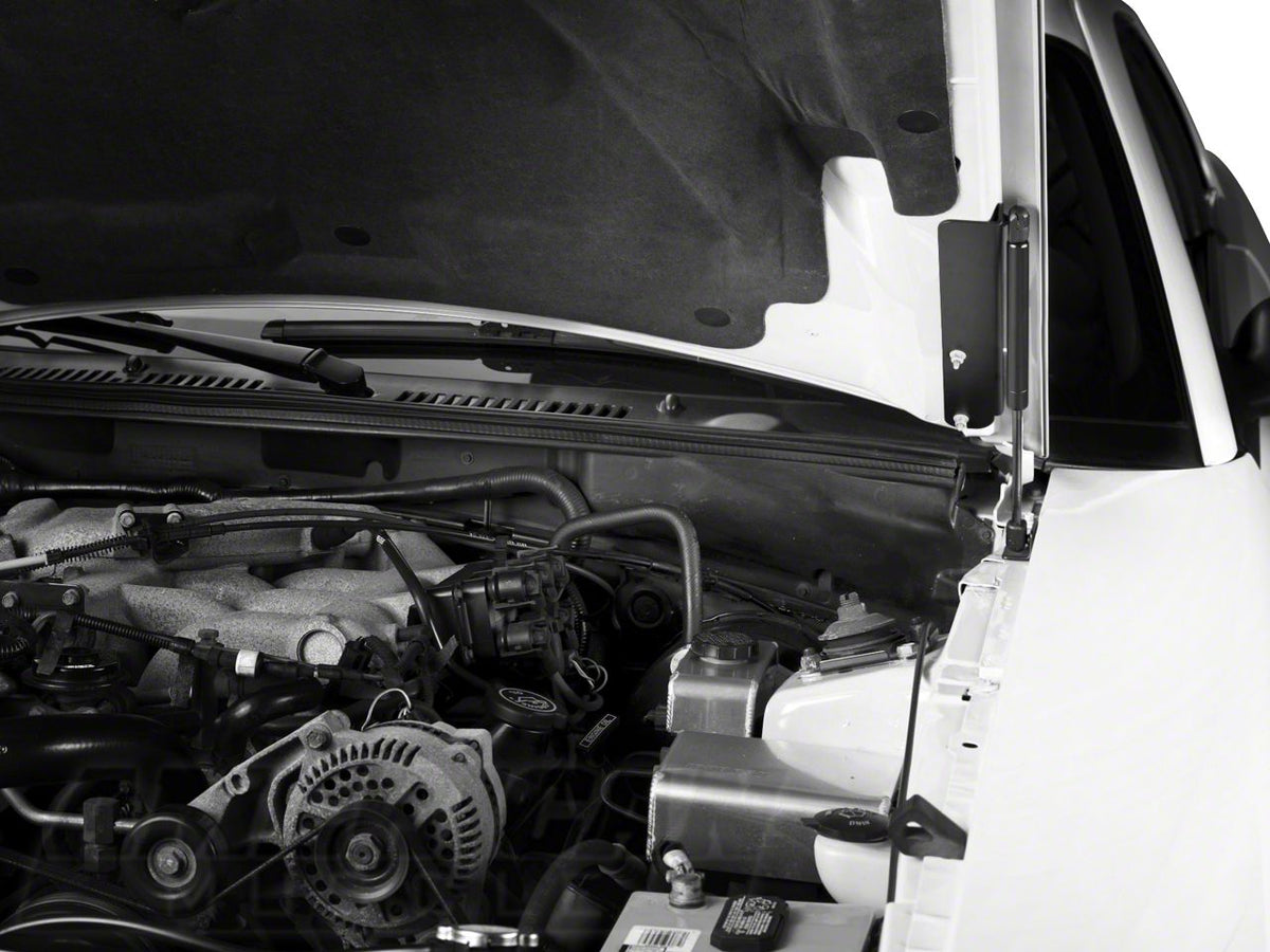 MMD Bolt On Hood Strut Kit; Black (99-04 Mustang)