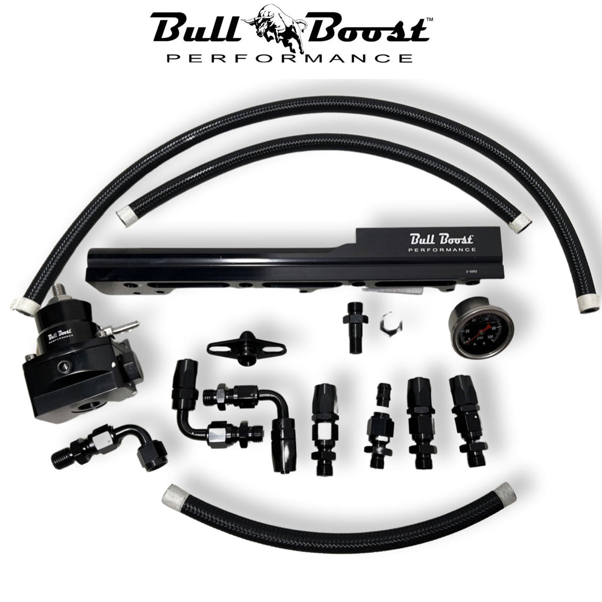 D Series Fuel Rail Civic SOHC Skunk2 Manifold FPR Gauge Line Hose D15 D16 D17