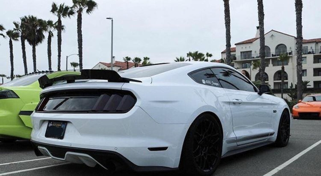 Mustang 16-18 Cali Special Wicker Bill