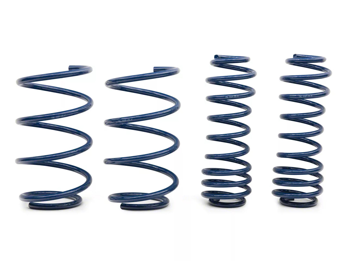 C&L Drag Spec Lowering Springs (05-14 Mustang Gt)