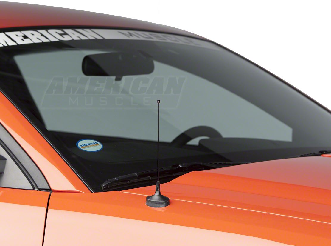 SpeedForm Exterior Blackout Kit (05-09 Mustang)