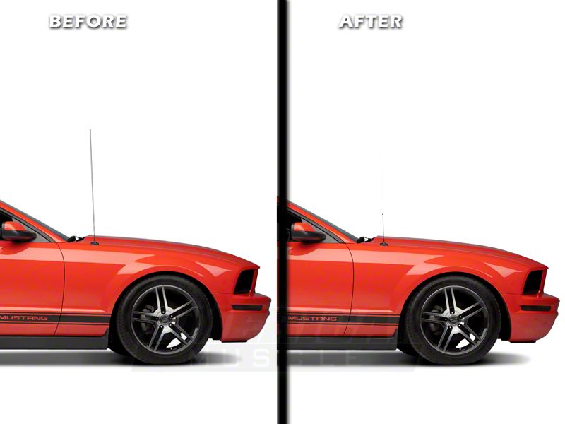 SpeedForm Exterior Blackout Kit (05-09 Mustang)