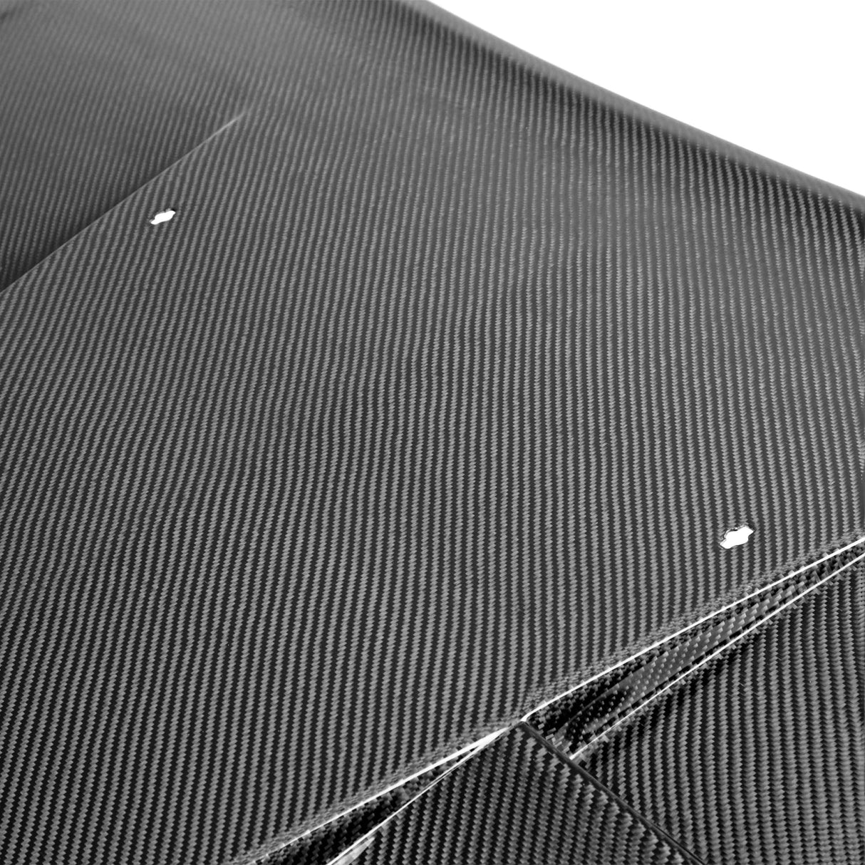 Type-TS carbon fiber hood for 2011-2014 Dodge Charger
