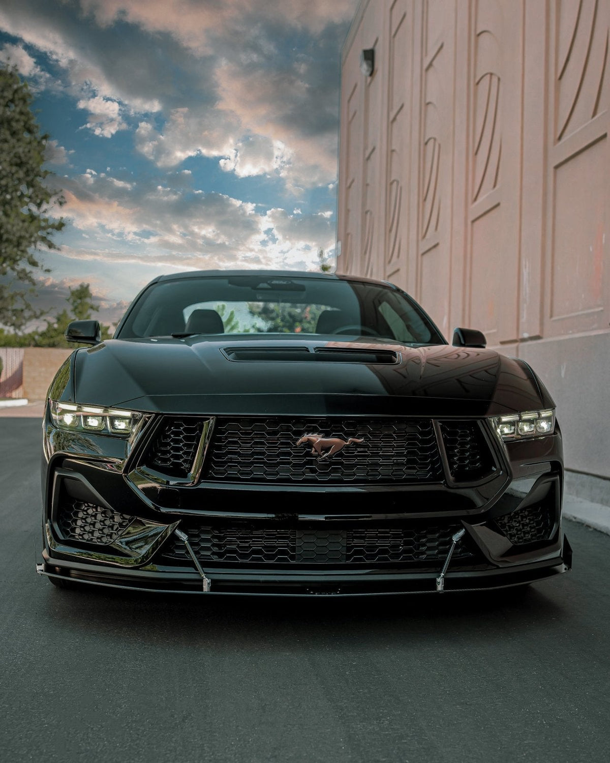 Ford Mustang (2024+) Ecoboost/GT Front Splitter - THE GOAT