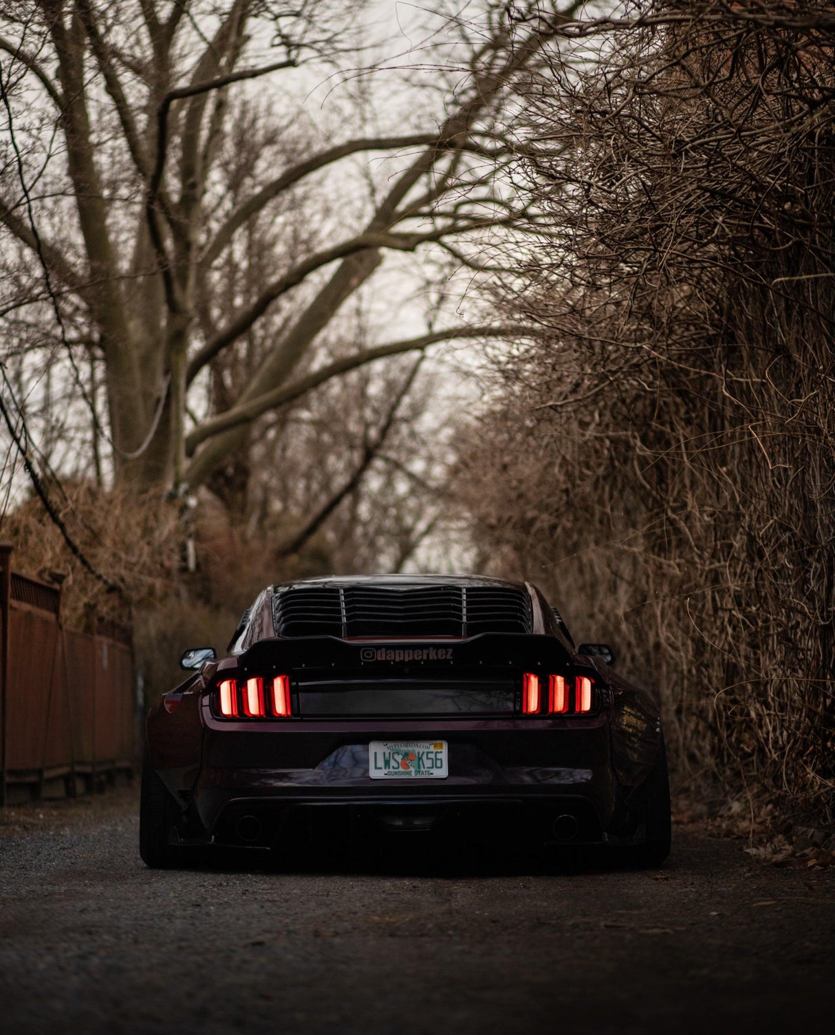 Mustang Widebody Kit | 2015-2017 GT S550 | SHIROKAI