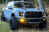 2017-20 Ford Raptor Gen 2 Ditch Lights