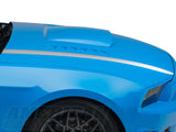 SEC10 Hood Accent Decal; Silver (13-14 Mustang)