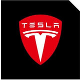 LED Logo Tesla Puddle Lights for Model 3/Y/S/X | TESERY