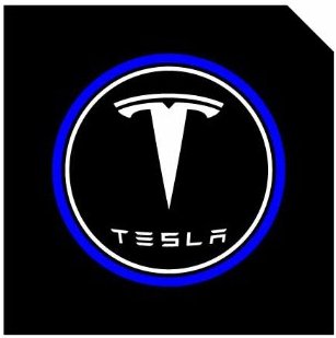 LED Logo Tesla Puddle Lights for Model 3/Y/S/X | TESERY