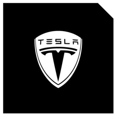 LED Logo Tesla Puddle Lights for Model 3/Y/S/X | TESERY