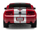 SEC10 Lemans Stripes; Silver; 12-Inch (79-23 Mustang)
