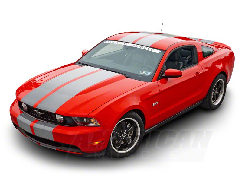 SEC10 Lemans Stripes; Silver; 12-Inch (79-23 Mustang)