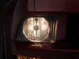 Raxiom Coyote Tail Lights; Chrome Housing; Red/Clear Lens (05-09 Mustang)