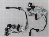 Raxiom Sequential Tail Light Kit; Plug-and-Play (96-04 Mustang, Excluding 99-01 Cobra)