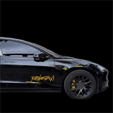 Reflective Robotaxi Decal | Tesla Body & Window Waterproof PVC Sticker
