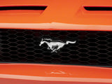 OPR OEM Style Replacement Grille (05-09 Mustang V6)