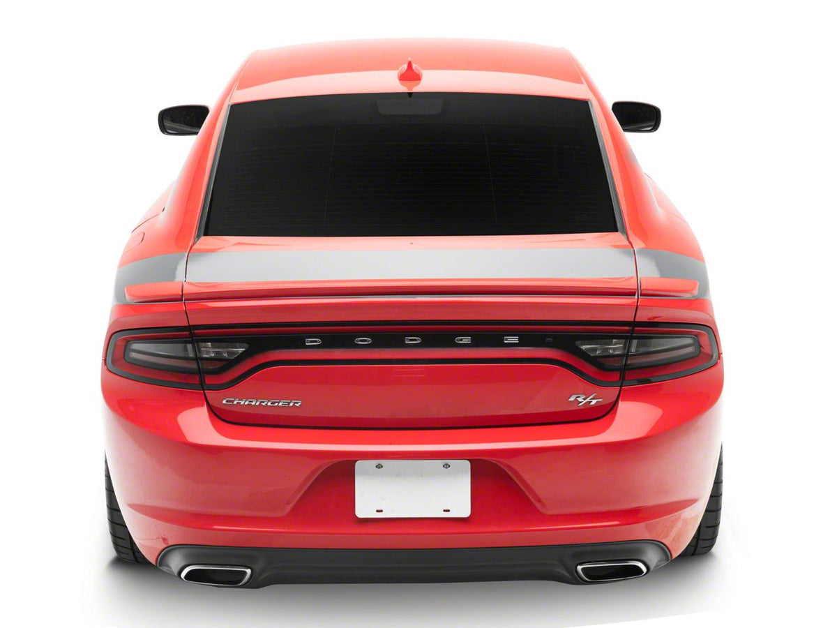 SEC10 Tail Graphic; Silver (11-23 Charger)