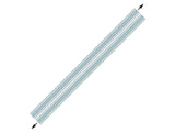 SEC10 Plain Rocker Stripes; Silver (99-04 Mustang)