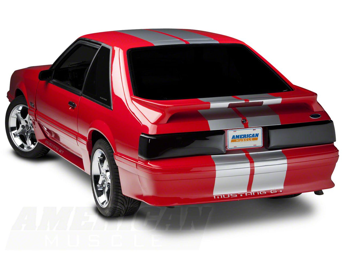 SEC10 GT500 Style Stripes; Silver; 10-Inch (79-93 Mustang)
